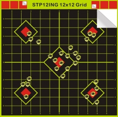 STP12ING | 12x12 Grid